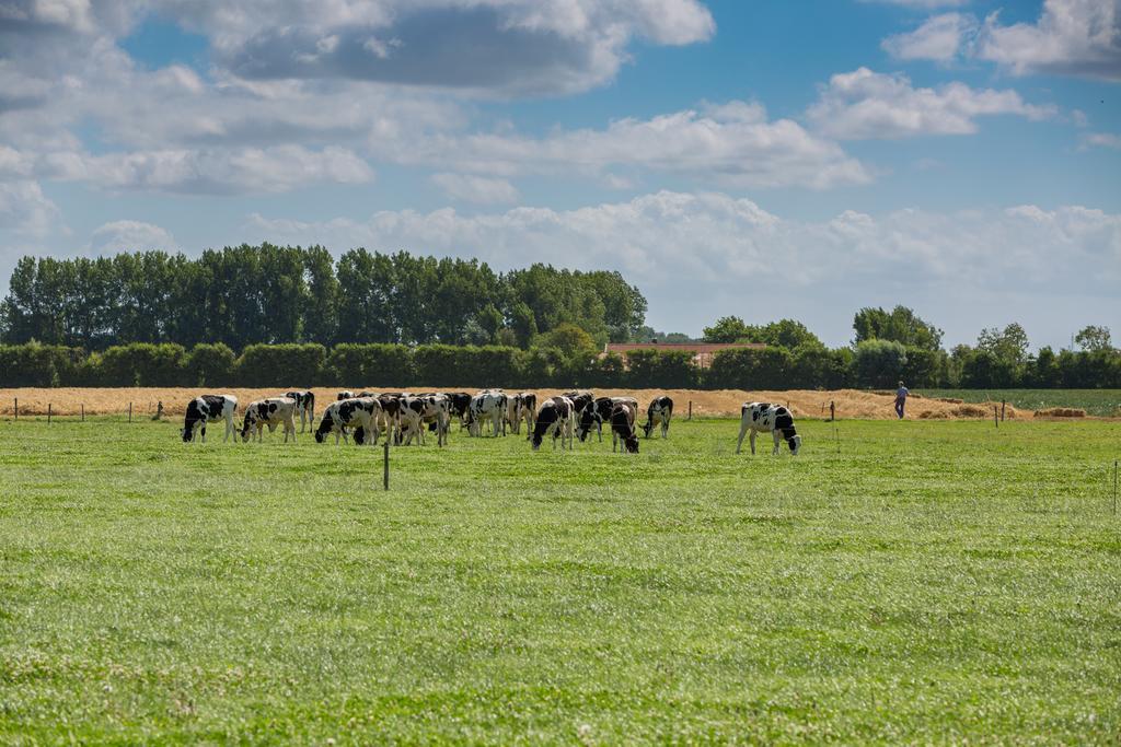 Welcome In - De Grote Geere Oostkapelle Eksteriør bilde