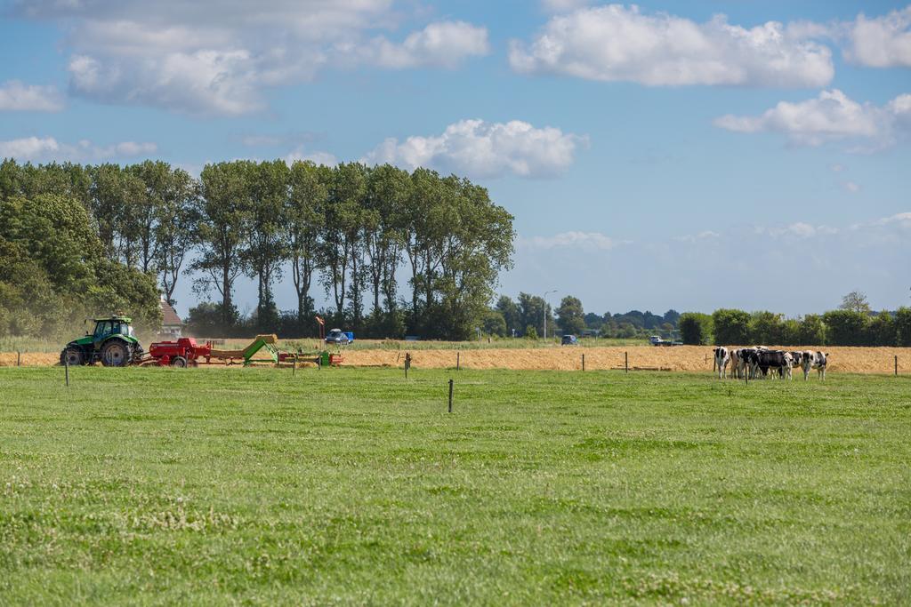 Welcome In - De Grote Geere Oostkapelle Eksteriør bilde